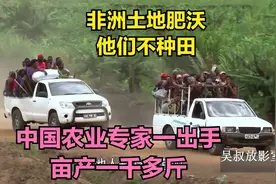 非洲土地肥沃，农业专家一来到种植，一公顷产粮9吨视频封面