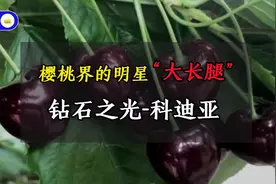 她有堪比明星般逆天“大长腿”，被誉为大樱桃中的钻石——科迪亚视频封面