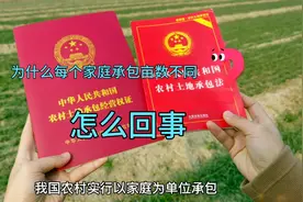 农村土地以家庭为单位承包，为什么承包亩数不一样，什么原因？视频封面