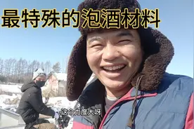 最特殊的泡酒材料劲大，老虎便便💩真厉害，狗吓到不敢回窝睡觉！视频封面