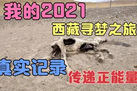 我的2021寻梦之旅，旅行正能量真实记录，西藏阿里的记忆视频封面