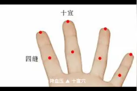 神奇您的手，常用延年益寿视频封面