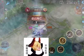 刺客打野不能出反甲？#玄策#反甲削弱视频封面