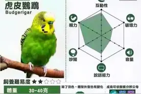 分享14种鹦鹉的特点，最后一种最完美视频封面