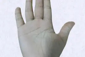 手相解析：小指较短，姻缘顺其自然为佳。视频封面