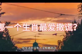 十二生肖哪一个生肖最爱撒谎？视频封面