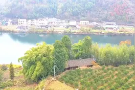 独栋独院木房子，我花9000租了20年，接下来该如何装修改造？视频封面
