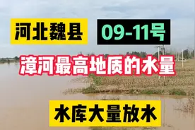 水库大量放水，河北魏县漳河即将挺不住了视频封面
