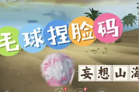 可爱毛球捏脸码捏脸数据【妄想山海】