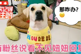 有哪位朋友知道最近评论，别人看不见是什么原因？有知道的嘛视频封面