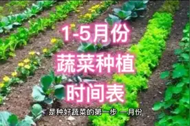1-5月份种菜时间表，南北差异大，各地好好把握种植时间视频封面