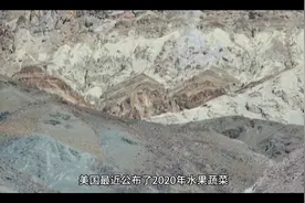 美国最近公布了2020年水果蔬菜视频封面