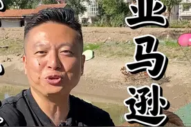 世界上最大的淡水鱼之一，亚马逊流域霸主巨骨舌鱼视频封面