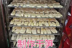 天气好老罗上山挖春笋做干笋，制作过程简单又好吃，放一年都不坏视频封面