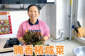 香椿便宜了，阿源花13买4把香椿腌香椿吃，方法简单，吃一年不坏视频封面
