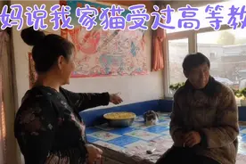 老妈养花成瘾，满屋子全都是花！看看这场面视频封面