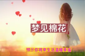 棉花，农业种植。视频封面