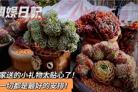 卖家送的小礼物你别看不上！一不小心就成就了画龙点睛！视频封面