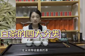 白茶四大分类，白毫银针，白牡丹，贡眉，寿眉滋味不同，该怎么选视频封面