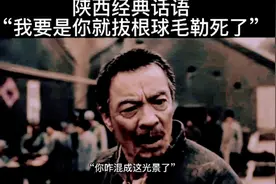 陕西经典话语“我要是你就拔根球毛把自己勒si了”