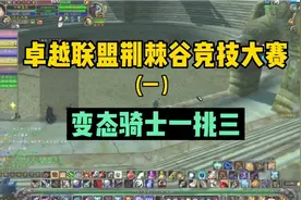 魔兽世界怀旧服:卓越荆棘谷竞技大赛一，骑士一挑三视频封面
