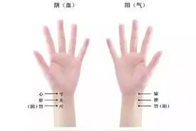 二十八脉动态图#把脉视频封面
