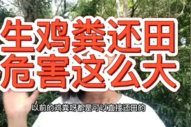 禁止鸡粪还田，你是不是不理解，看完没想到危害这么大视频封面