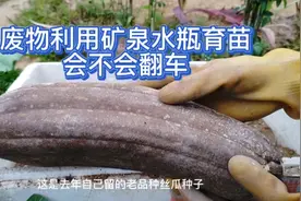 废物利用，学习人家矿泉水瓶子育苗 会不会翻车？视频封面