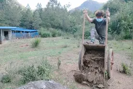 养鸡场的鸡粪是如何处理的？鸡粪也能变废为宝，上好的有机肥视频封面