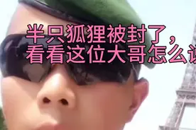 半只狐狸被封了，一位法外现役的中国人怎么说。