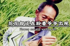 我们的🌾爸爸就这样走了视频封面
