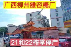 广西柳州雒容糖厂，21和22榨季停产，很多地方已经不种甘蔗了视频封面