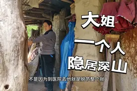 大姐一个人，隐居终南山，我来体验和她一起山居的生活视频封面