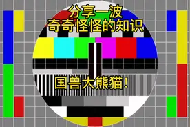 分享一波奇奇怪怪的知识（136）国兽大熊猫视频封面