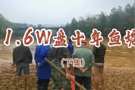 1.6万，盘十年老塘，塘主说2000斤鱼，会不会被套路？拭目以待！视频封面
