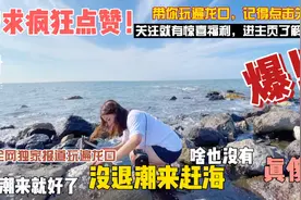 赶海一定要看潮汐表，今天赶海失败，看看我的成果有没有太失望？视频封面