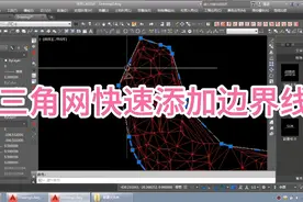 第100讲:三角网快速添加边界线#三角网边界 #Cass 三角网
