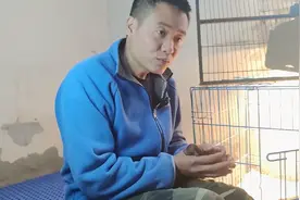 狗狗分娩前后分娩时我们需要注意一些什么视频封面