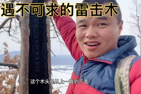 历经三个多小时终于找到雷击木，这东西可遇不可求，活树价值最高视频封面