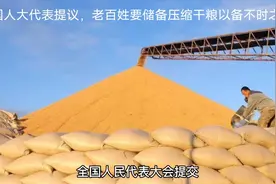 人大代表提议老百姓要储备压缩干粮，以备不测之需视频封面