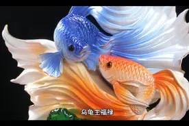 周公解梦之梦见乌龟视频封面