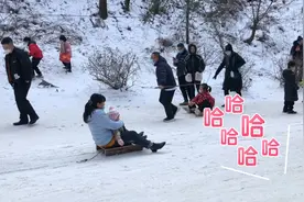 走进西安祥峪森林公园，被眼前的一幕惊艳到了，搞笑刺激太好玩啦