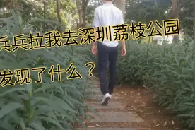 和兵兵去深圳荔枝公园玩，到了公园心情不好，到底发生了什么？视频封面
