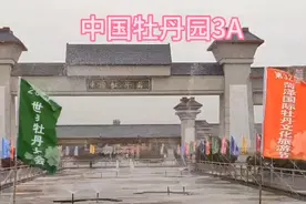 菏泽中国牡丹园3A，是世界最大的牡丹品种保护繁育基地。视频封面