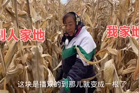 农村地块相邻咋区分？二条家掰玉米差点弄错，查了半天原来这回事视频封面