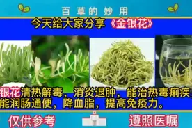 金银花清热解毒，消炎退肿，能治热痢又能润肠，降血脂提高免疫力视频封面