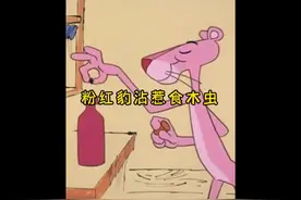 你见过会吃木头的虫子吗？最后还修起了房子视频封面