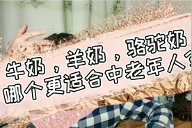 牛奶 羊奶 骆驼奶，哪个更适合中老年人呢？视频封面
