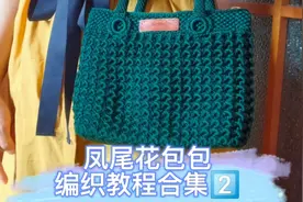 凤尾花包包编织教程合集2⃣视频封面