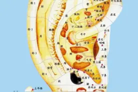 耳朵穴位反射区视频封面